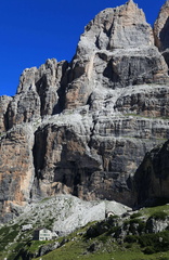 O327-Rif-Brentei-160813-MP