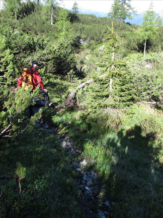 O328-140703-LB-7139 (34 visite) O328-140703-LB-7139