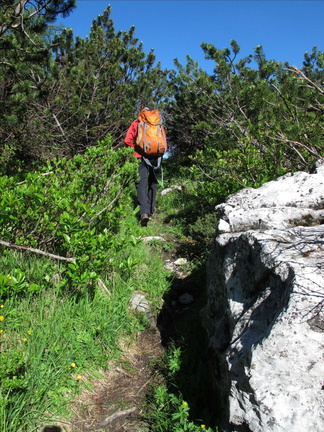 O328-140703-LB-7140 (35 visite) O328-140703-LB-7140