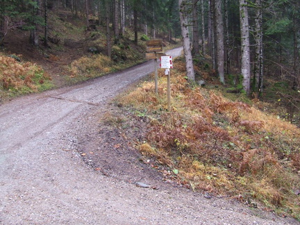 O329-ldp004-00-p01-161118-AD