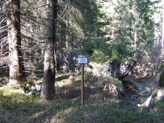 O329-ldp007-00-p02-161118-AD