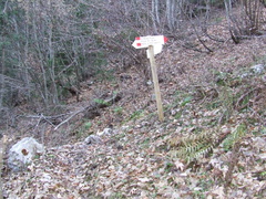 O329-ldp009-00-p02-161118-AD