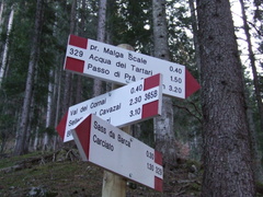 O329-ldp010-00-d01-161118-AD