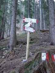 O329-ldp010-00-p02-161118-AL