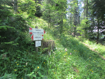 O329-ldp011-00-d2-160707-CC