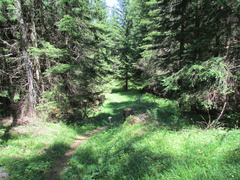 O329-ldp012-00-p2-160707-CC