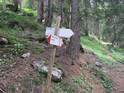 O329-ldp013-00-d1-160707-CC