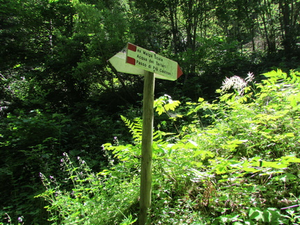 O329B-ldp007-00-d1-160707-CC