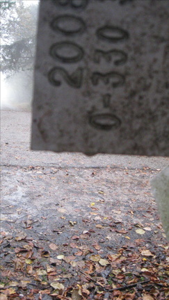 O330-ldp003-00-d5-161105-FB-0421 (16 visite) O330-ldp003-00-d5-161105-FB-0421