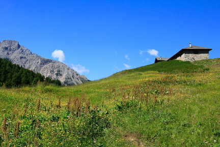 0330-Malga-Termoncello-td