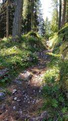 O330-160716-FB-105816-001