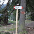 O331-ldp022-00-d1-ED-150928