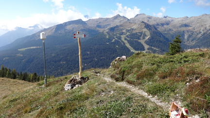 O331-ldp034-00-p1-ED-150928