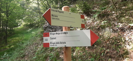 O332-ldp003-00-d01-230622-TD