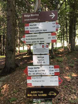 O333-ldp002-00-d01-220720-ED