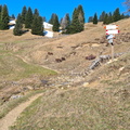 O333-ldp008-00-p02-230405-CR