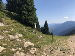 O333-ldp009-00-p01-220720-ED