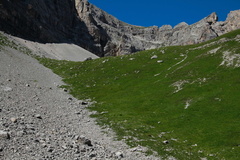 O334-160806-td1350