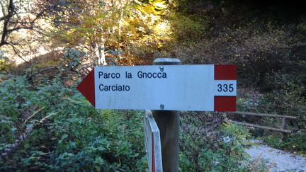 O335-ldp005-00-d01-171013-ED