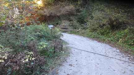 O335-ldp005-00-p01-171013-ED