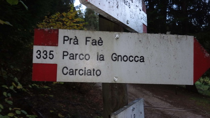 O335-ldp007-00-d03-171013-ED