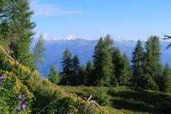 O337-MontePeller-2013-td-3970