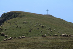 O337-MontePeller-2013-td-4040