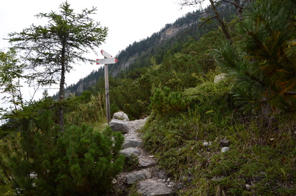 O339-ldp003-00-p01-190825-ED