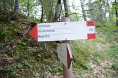 O339-ldp004-00-d01-190825-ED