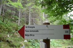 O339-ldp005-00-d01-190825-ED