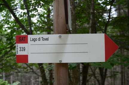 O339-ldp005-00-d02-190825-ED