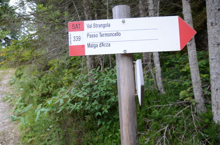 O339-ldp006-00-d01-190825-ED