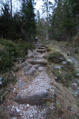 O339-161207-td-7919