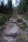 O339-161207-td-7919