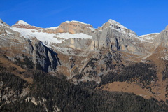 O339-161207-td-7928