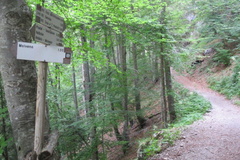 O340-ldp002-00-p02-220721-EG