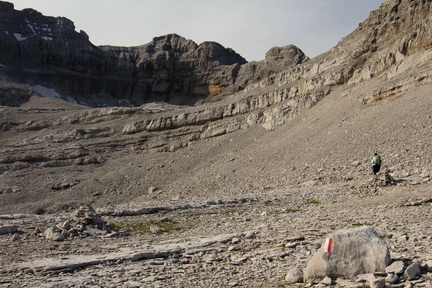 O341-daRifXIIApostoli-suPassoXIIApostoli-2016-td