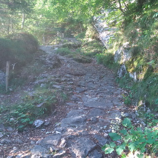 O342-1-inizio-salita-su-strada-lastricata-160908-FCM