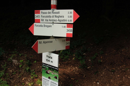 O345-ldp004-00-d3-160803-td38