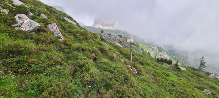 O345A-ldp001-00-p01-20240629-CR