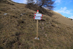 O345B-ldp001-00-p1-td