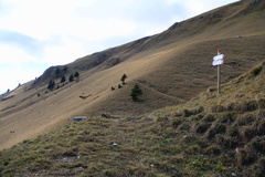 O345B-ldp001-00-p2-td