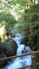 O346-160822-FB-9579