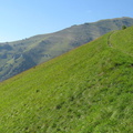 O346-160822-FB-9768