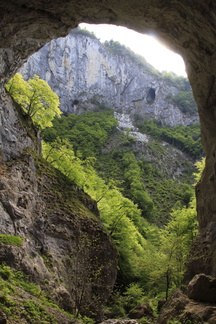 O346A-Arca-Fraporte-120518-td-53