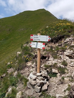 O348-ldp005-00-p01-230628-GG