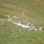 O348-ldp006-00-p03-160923-MCF-124321