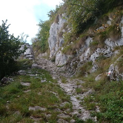 O348-Verso-Malga-Valandro-160923-FMC