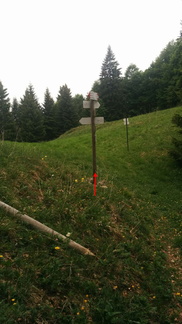 O350-ldp003-p01-170630-GC