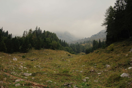 O352-td-160915-15161